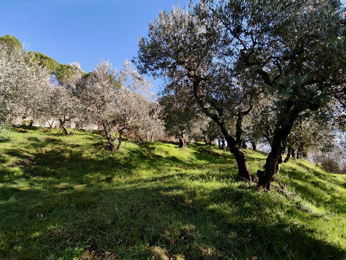 Fonte Degna - Alloggio E Sito Storico Citerna Zewnętrze zdjęcie